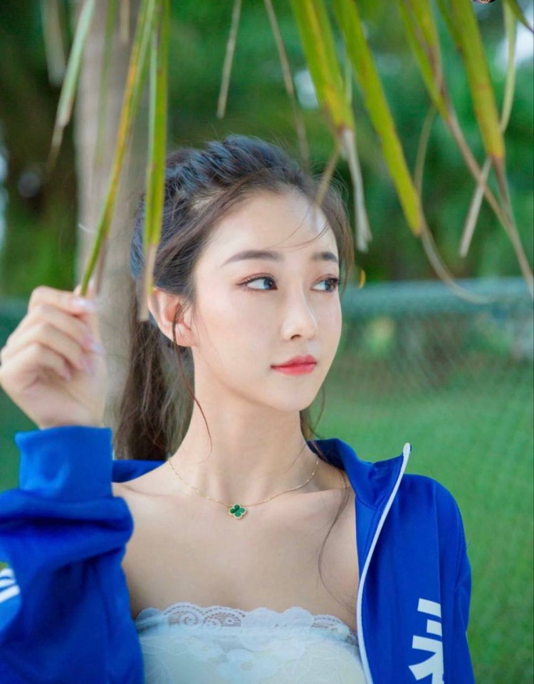欧美人动物ppt免费模板大全,韩剧网热门电视剧大全